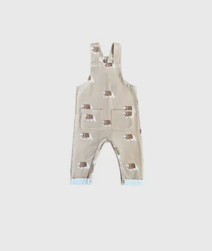 Baby Pocket Overalls
