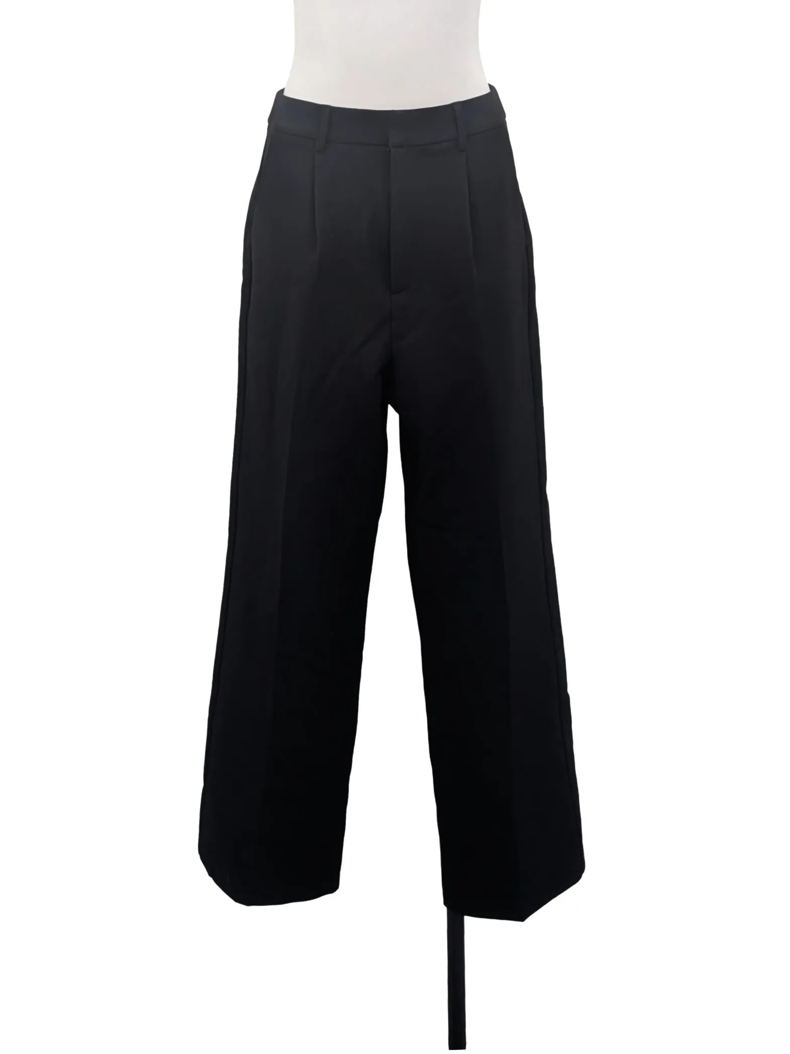 Black Pleated Lined Pants