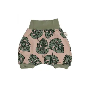Monstera Green