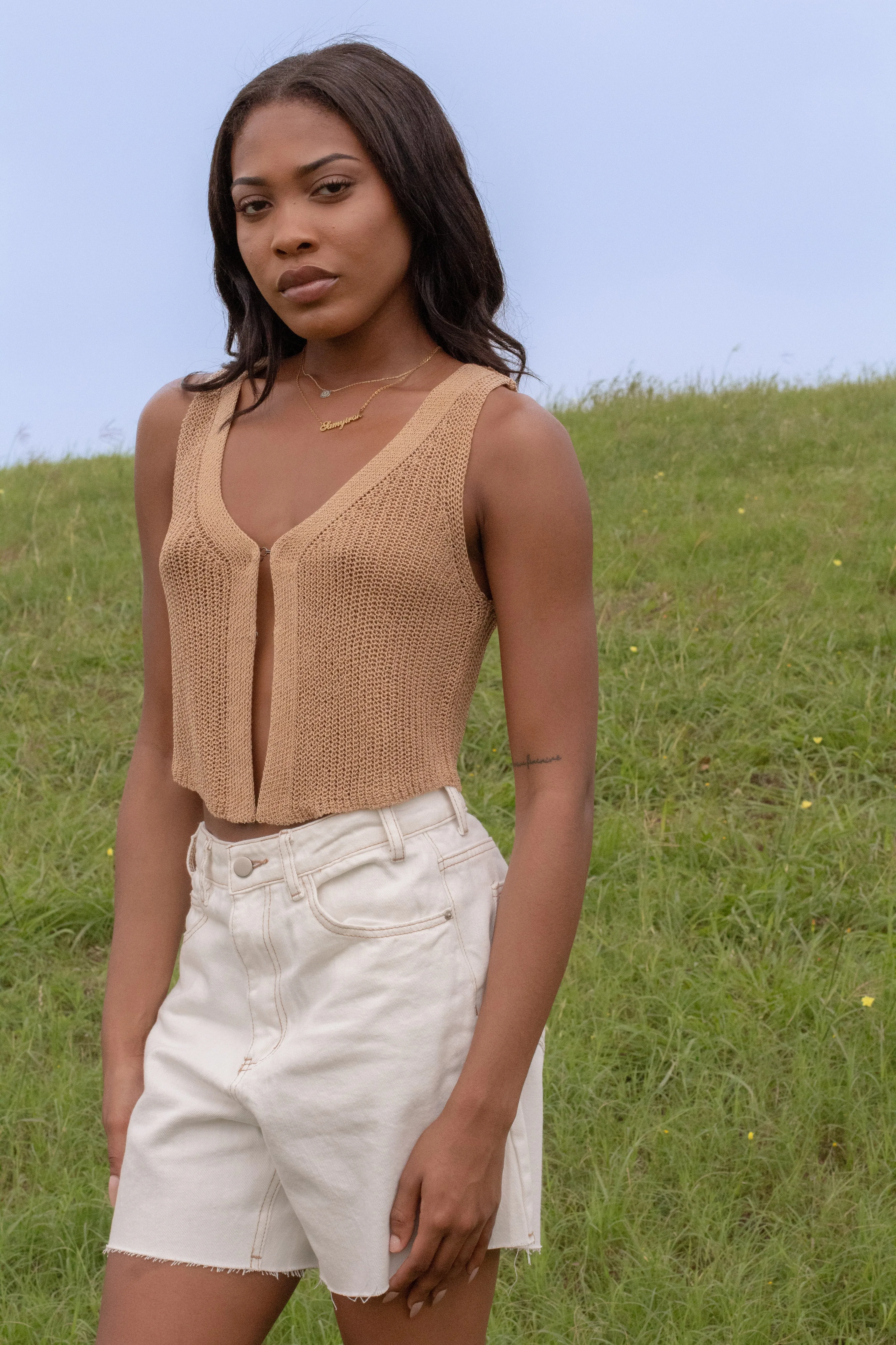 The Knit Vest (Brown)