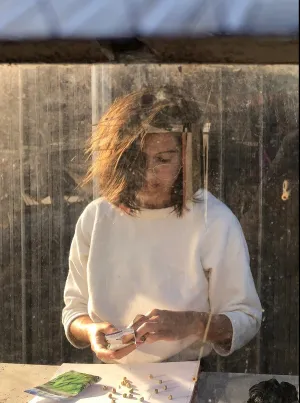 The Post-Season Unisex Tee